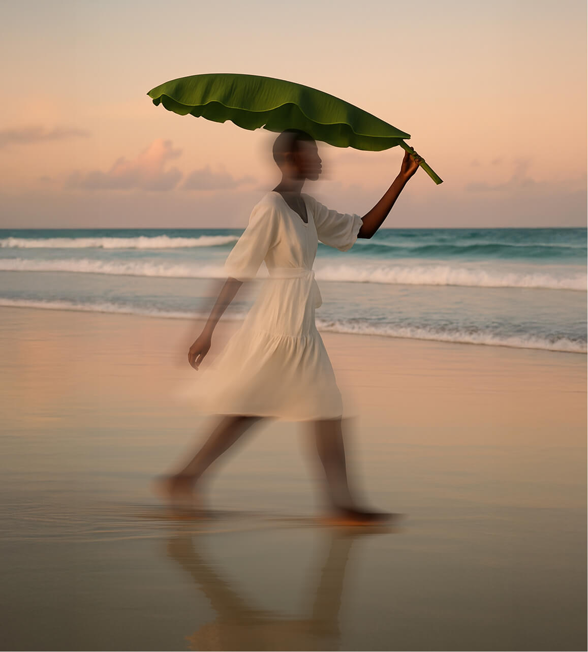 Carbon Footprint & Sustainability